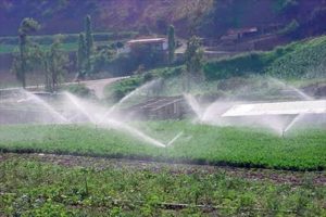 Lee más sobre el artículo Los regantes(Fenacore) se quejan de que están pagando un 400% más de sobrecoste energético