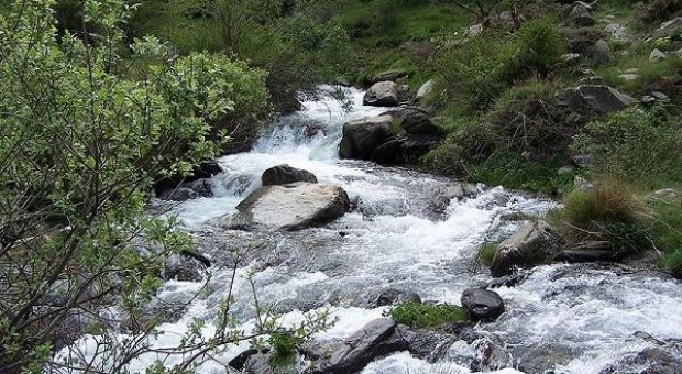 El CSIC constata el descenso en el caudal de los ríos ibéricos. Segura y Guadiana, las cuencas más afectadas
