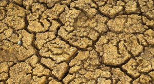 PSOE denuncia el anuncio de las medidas contra la sequía en Castilla La Mancha sin presupuesto