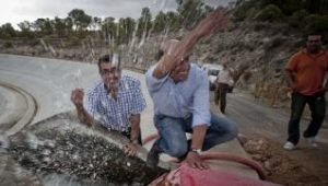 Lee más sobre el artículo La última oportunidad para los ríos valencianos