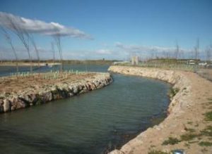 Lee más sobre el artículo Xúquer Viu pide una reducción de las extracciones de la Mancha Oriental