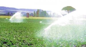 Lee más sobre el artículo La superficie de regadío en España aumentó el 1,4 % en 2012