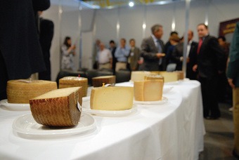 Lee más sobre el artículo Expovicaman regresa a la ciudad con el concurso nacional de ganado ovino selecto de raza manchega