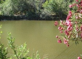 Lee más sobre el artículo Emiliano García-Page no descarta llevar el Plan de Cuenca del río Tajo a los tribunales