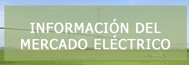 informacion mercado electrico